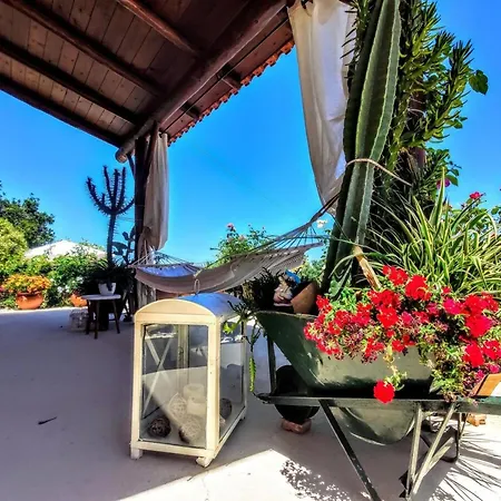 בית נופש Thymes Traditional House